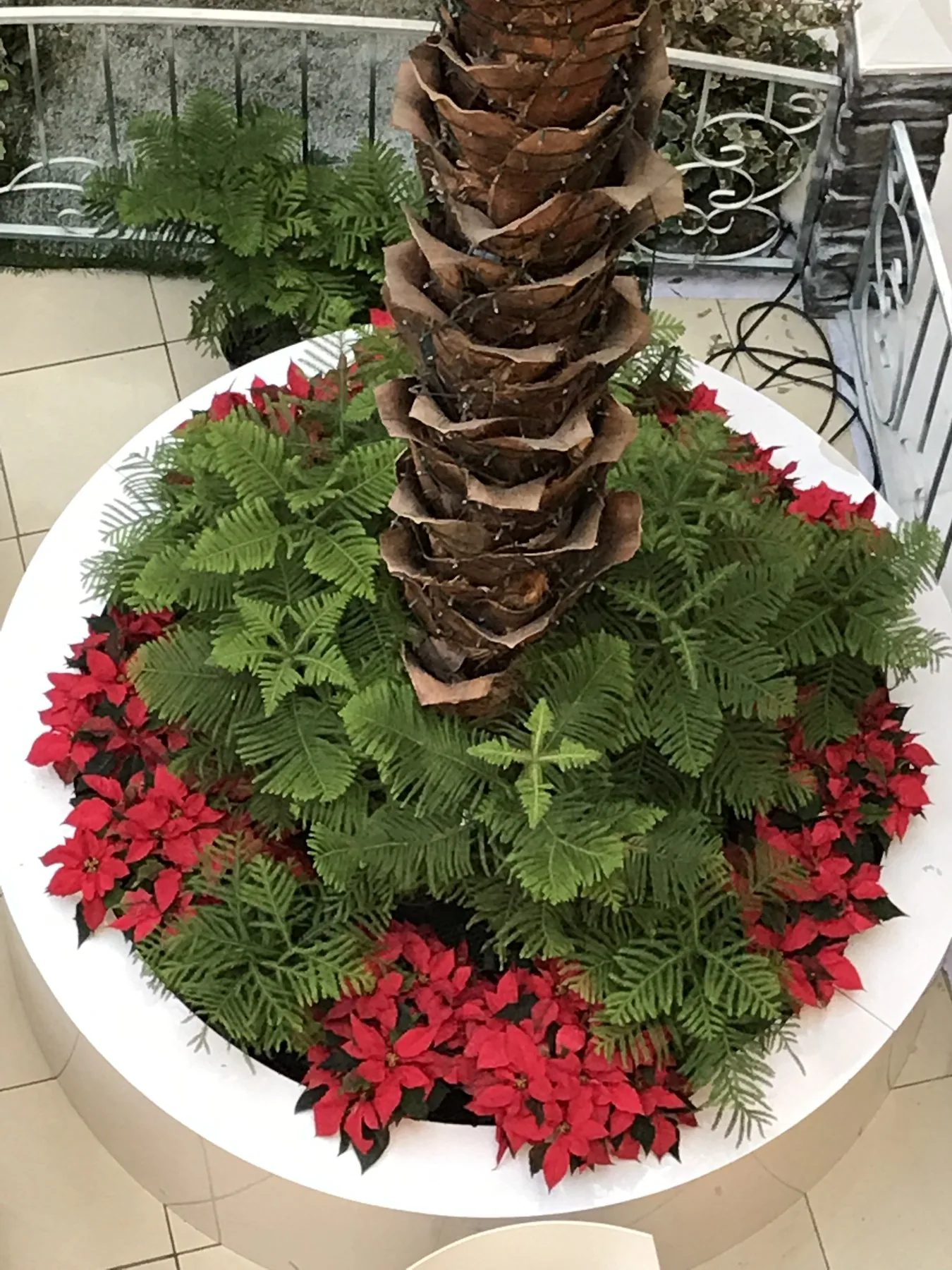 Ágora Mall · Fotografía 3