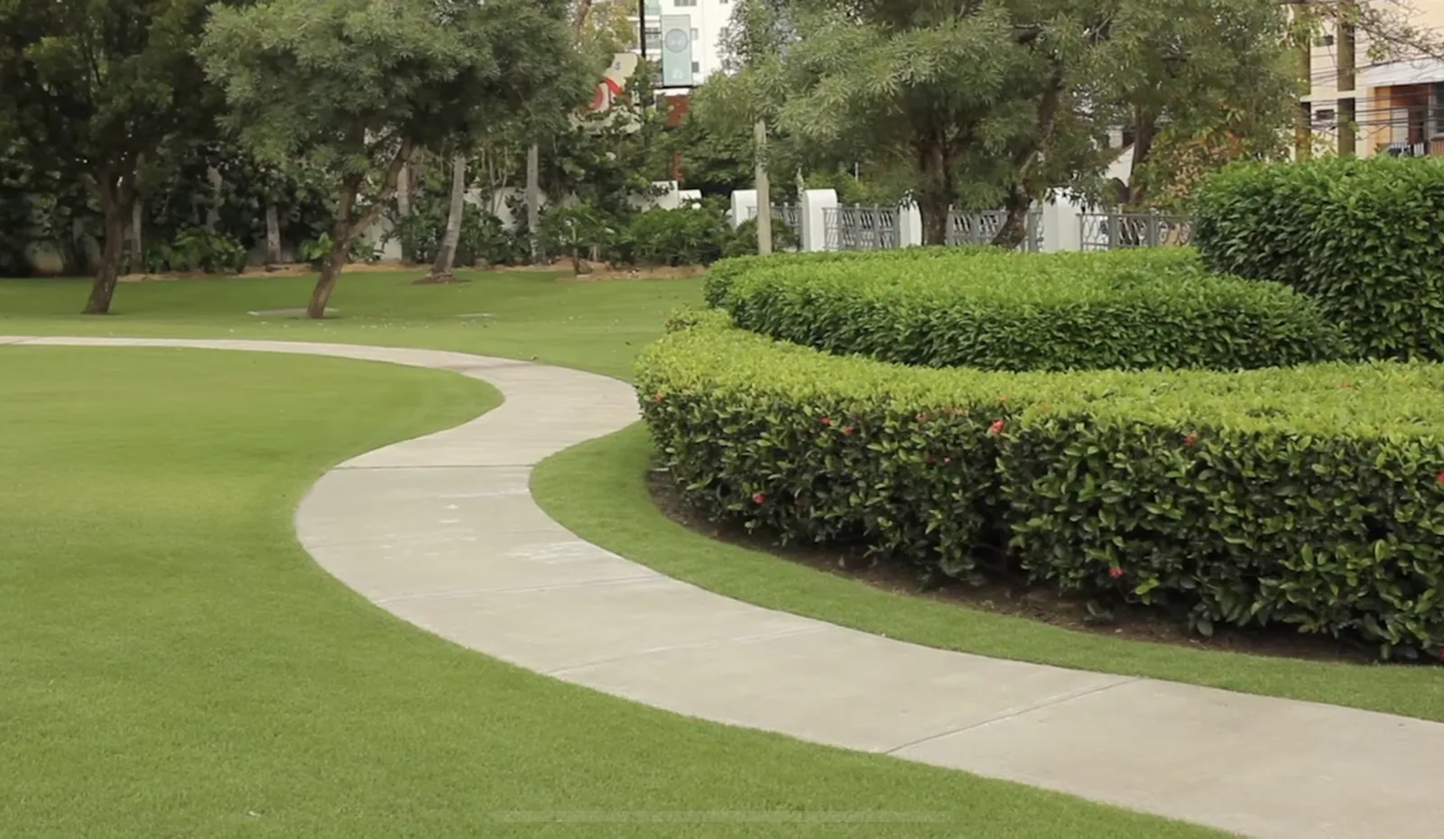 Jardín con grama y setos del Templo de Santo Domingo