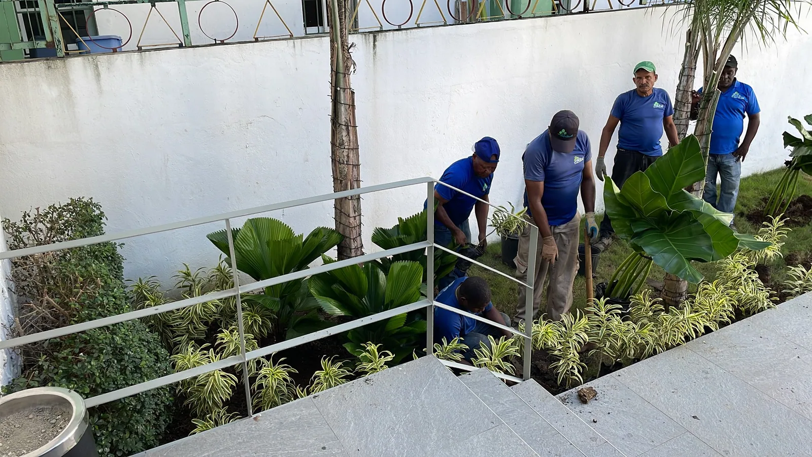 Equipo de Jardimant realizando trabajos de jardinería
