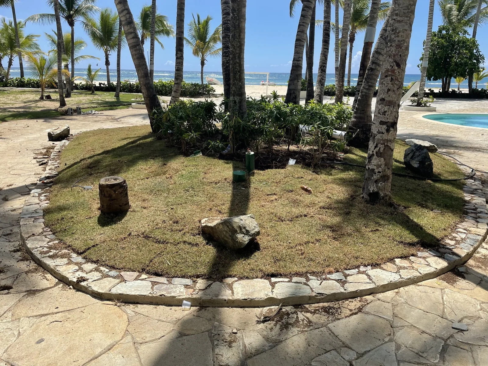Coral Costa Caribe · Fotografía 4