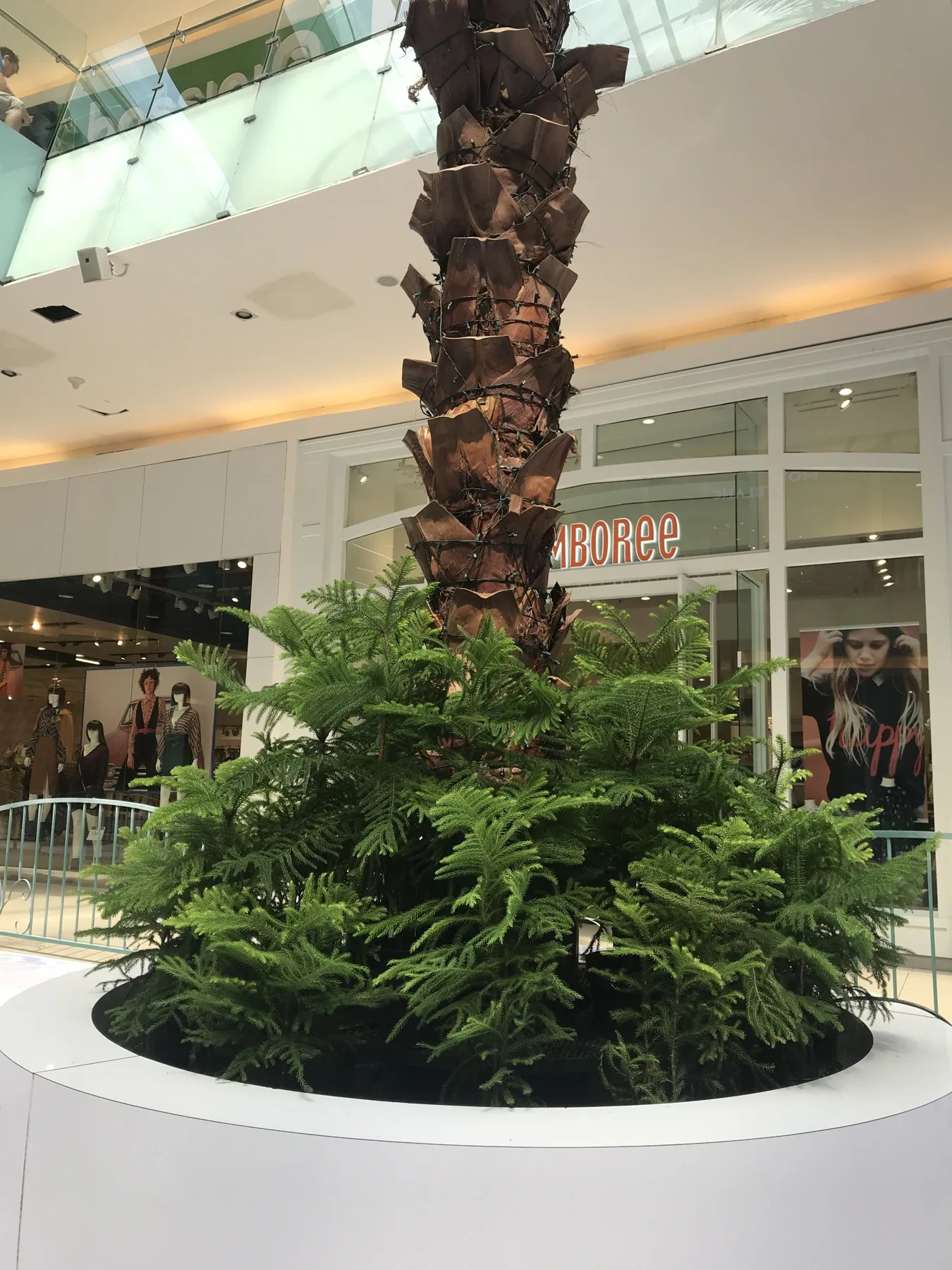 Ágora Mall · Fotografía 1