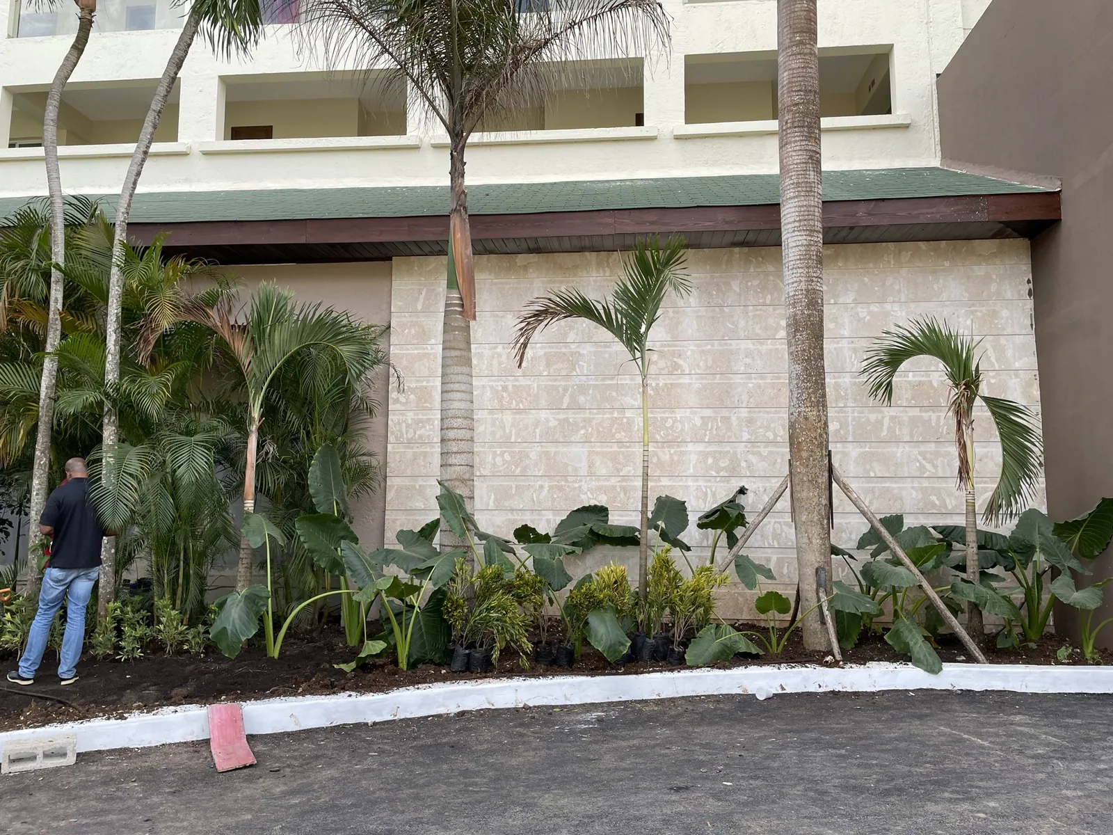 Coral Costa Caribe · Fotografía 1