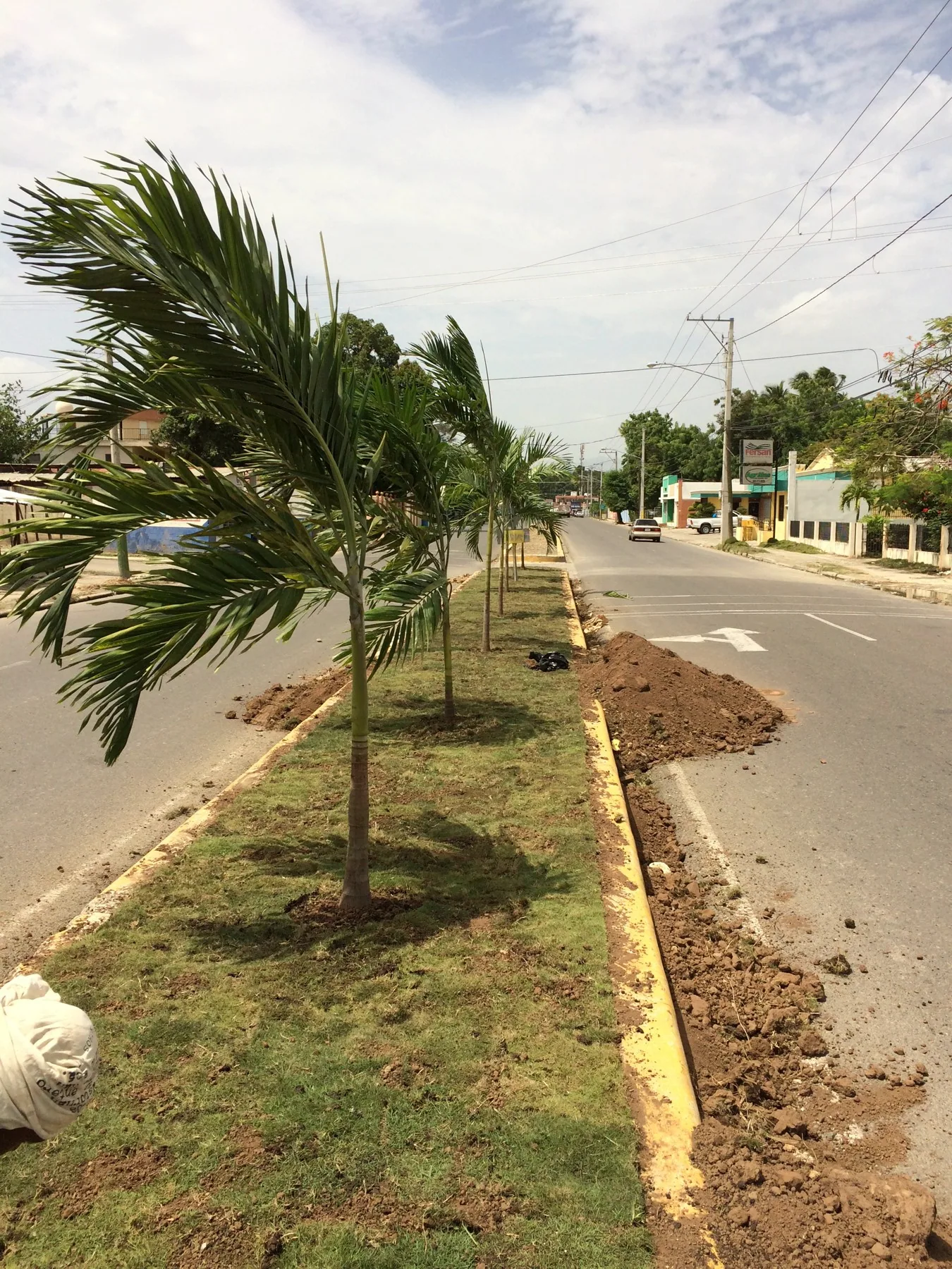 Cervecería Nacional Dominicana · Fotografía 2