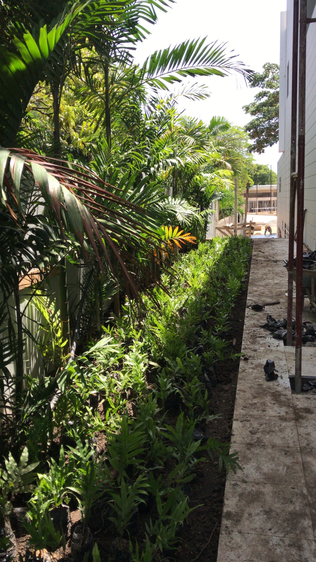 Jardín del portafolio de Laboratorios Rowe