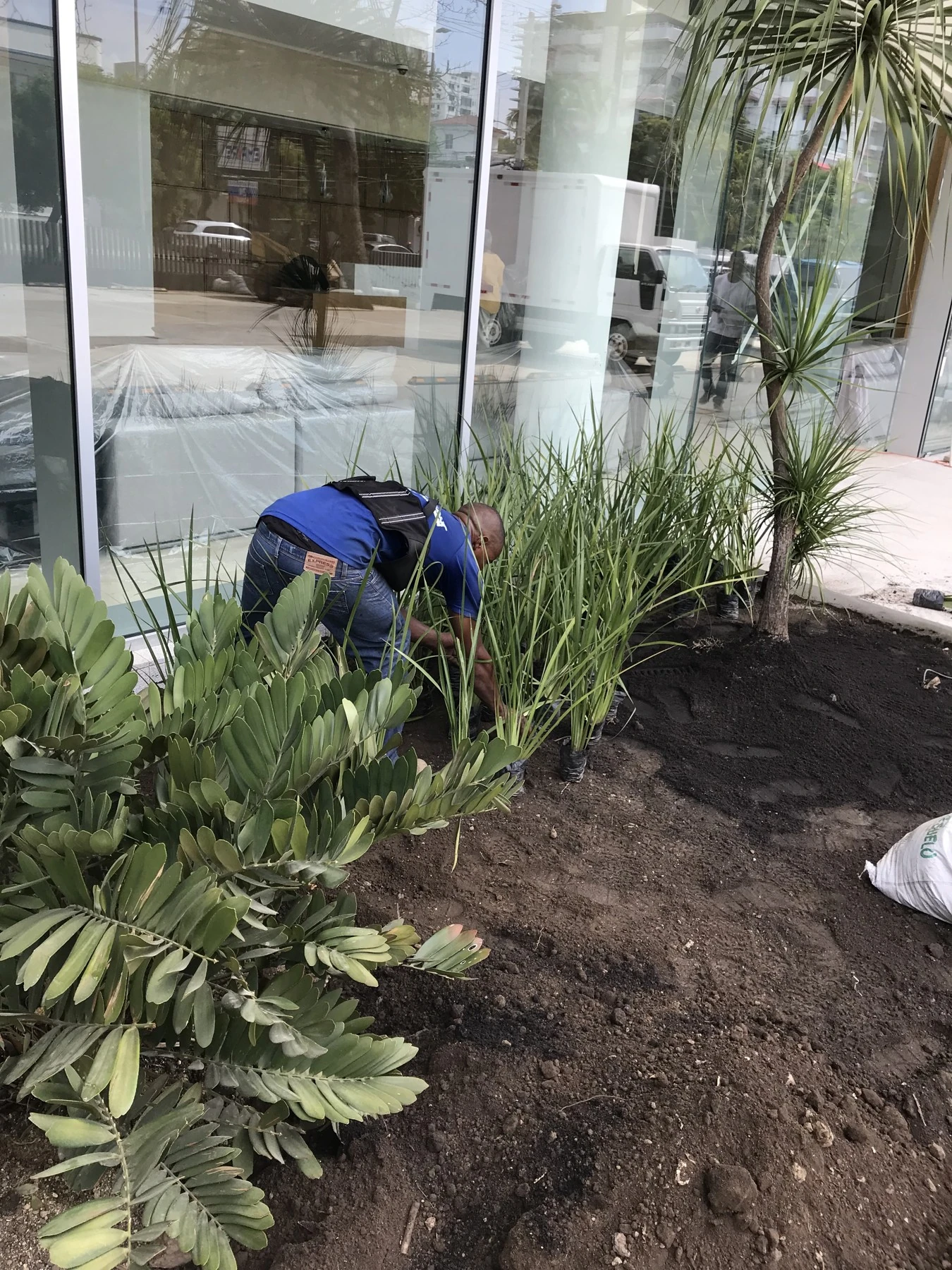 Personal de Jardimant atendiendo plantas ornamentales