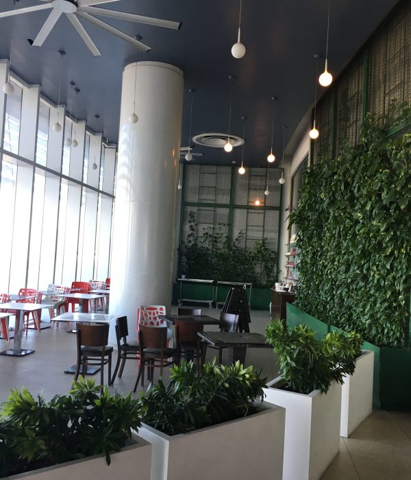 AGORA MALL